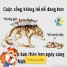 Lầm đường