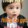 Bạch hổ86