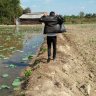 Mạnh Dũng Rubi