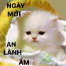 Phan thế