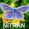 NITRAN