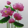 ngày mới Tiền Vào