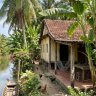 Hoa Phong Lan