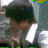 karany