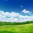 thich_net