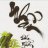 philong260116