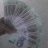Bamechichchim@gmail