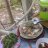 Bong bóng xà phòng