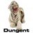 dungent