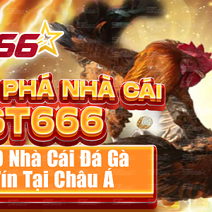 Khám Phá ST666: Top 10 Nhà Cái Đá Gà Uy Tín