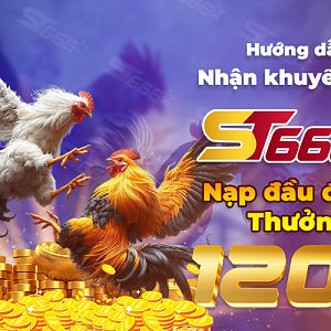 HƯỚNG DẪN NHẬN KHUYẾN MÃI ST666