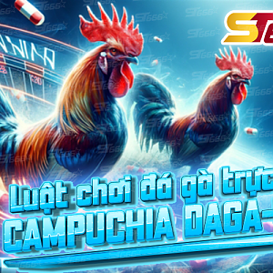 ST666 đá Gà