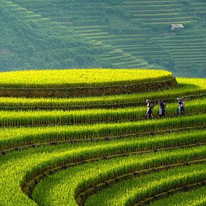 Hello Mù Cang Chải – Điểm Dừng Chân Không Thể Bỏ Lỡ Tại Tây Bắc