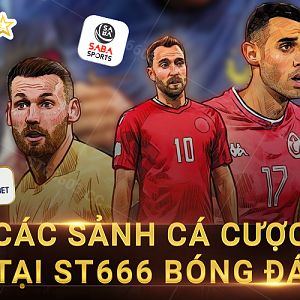 Các Sảnh Cá Cược Tại ST666 Bóng đá