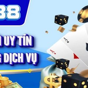 W88 VT