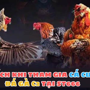 Đá gà C2 tại ST666