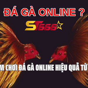 Đá gà online ST666