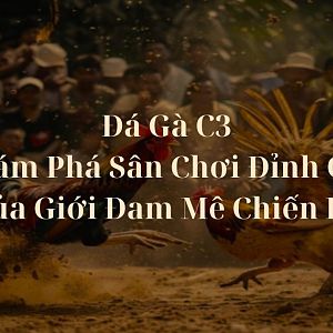 Đá Gà C3