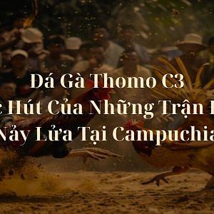 Đá Gà Thomo C3