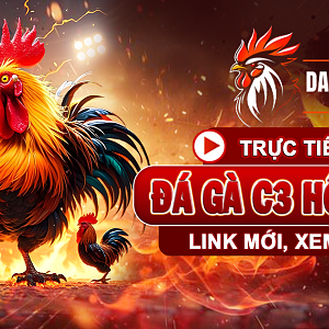 Truc-tiep-da-ga-c3-hom-nay