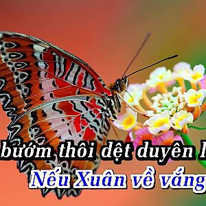 Neu xuan nay vang em - Tuan Vu - YouTube