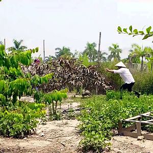 [NATV] tập 93 - BÁNH MỲ KẸP THỊT LỢN MÁN (30/07/2015) - YouTube