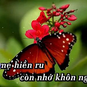 Đèn khuya - Tuấn Vũ