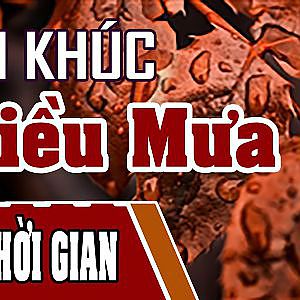 Liên Khúc Chiều Mưa Cực Hay - Lien Khuc Chieu Mua Cuc Hay - YouTube