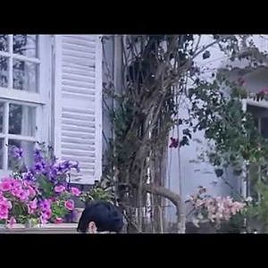 [phim ngắn] Tạm biệt, hẹn gặp lại! - MoWo - YouTube