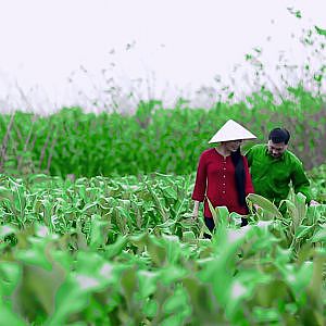 Lời Thương Ta Ngỏ Cùng Nhau Nghệ Sĩ Mạnh Quỳnh - Thanh Tuyền - YouTube
