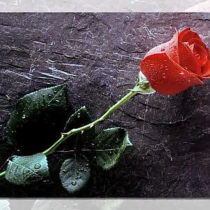 Romeo and Juliet - ghita.avi - HD - YouTube